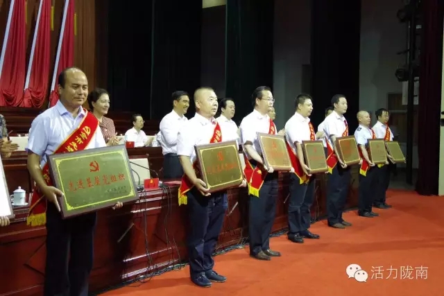 隴南市紀念建黨95周年暨表彰大會隆重召開