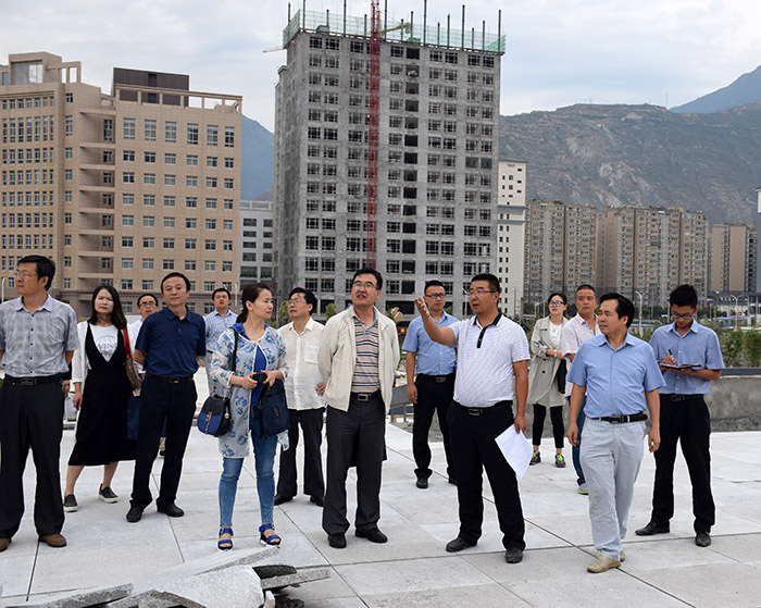 省、市聯(lián)合工作組蒞臨階州廣場檢查指導(dǎo)工作