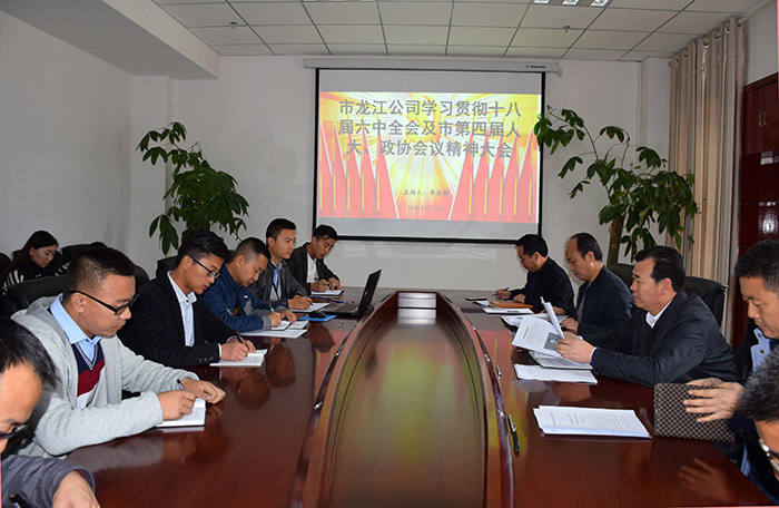 市龍江公司召開全體員工大會(huì)，專題傳達(dá)學(xué)習(xí)上級(jí)會(huì)議精神