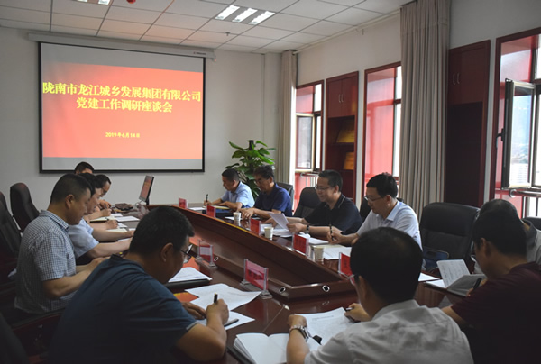 隴南市委常委、組織部部長(zhǎng)楊郃調(diào)研指導(dǎo)市龍江城鄉(xiāng)發(fā)展集團(tuán)公司黨建工作