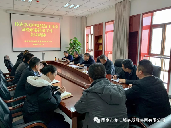 市龍江集團傳達學習市委四屆十次全會暨市委經濟工作會議精神