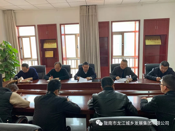 市龍江集團傳達學習市委四屆十次全會暨市委經濟工作會議精神